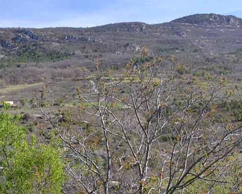 Le parc naturel régional des Baronnies provençales