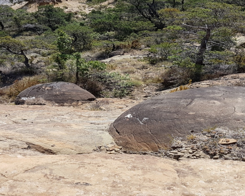 Les œufs de dinosaures à Saint André de Rosans